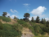 Torrente_Quarantore - 20110911 138.jpg